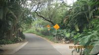 Hawaii_road_signs